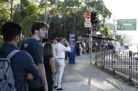 An unprecedented shortage of drivers led to several private bus operators in Sydney cutting services in January.