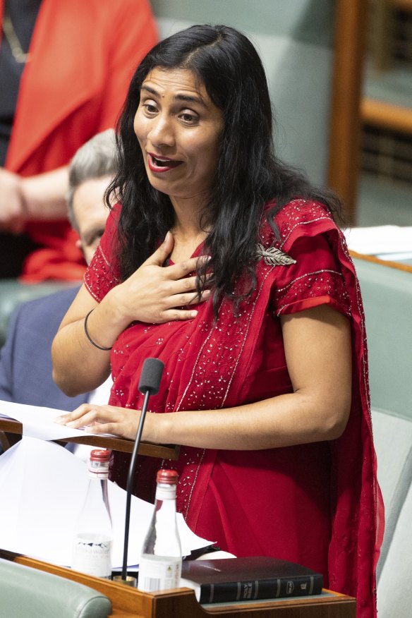 Labor MP Zaneta Mascarenhas was the only successful Indian-Australian in May’s federal election.