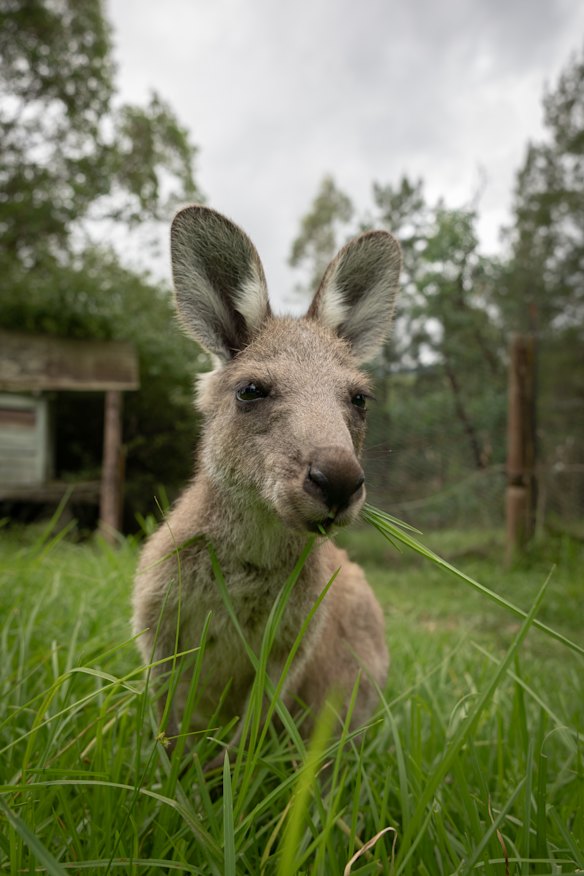 One of Anna Culliton’s charges.