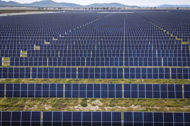 A solar farm near Gunnedah, NSW. Investments in clean energy are increasing. 