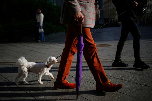 People walk with a dog along Kuznetsky Most street in Moscow.