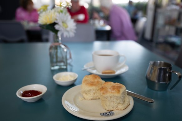 Devonshire tea. 
