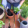 Want to get your garden looking great? Pretend you’re selling the house