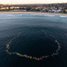Hundreds of surfers paddle out for tribute to Bondi Junction victims