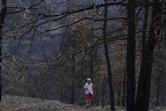 A man walks through the burned forest, in Ora village in Cyprus on Sunday.
