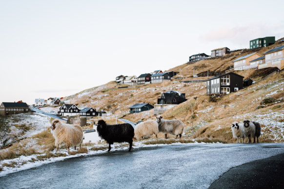 There are more sheep than humans in the Faroes.