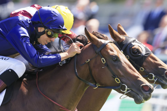 Jean Van Overmeire has the mount on Carlisle Bay.