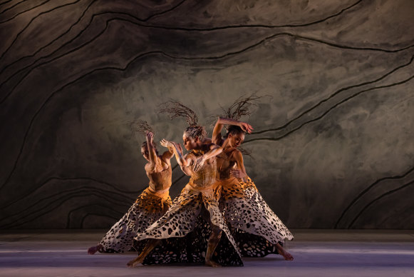 Bangarra Dance Theatre’s Terrain.