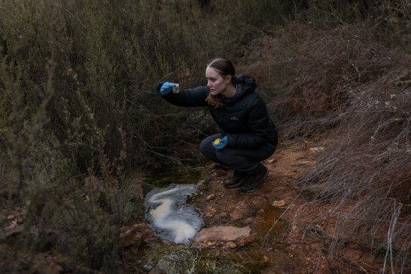 On a site visit to Sunny Corner, an abandoned mine, earlier this year Holly Nettle, water researcher at Western Sydney University, examined water pouring out of a shaft which has been shown to have high levels of toxic chemicals. 