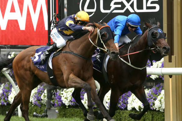 Toughing it out: Ranier holds off Wild Planet in the  Carbine Club Stakes.