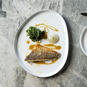 Murray cod with salmoriglio and ice plant. 