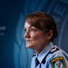 Retiring Police Commissioner Karen Webb has been appointed a special advisor to the state government on domestic violence.