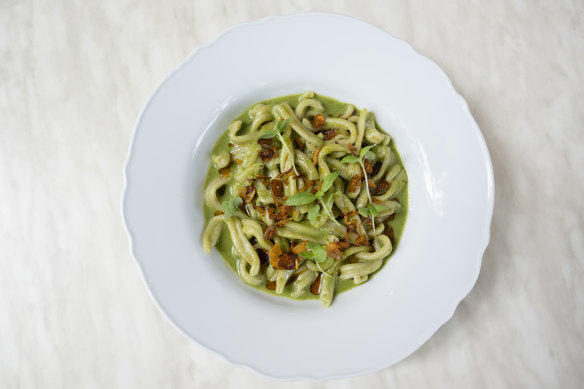 Casarecce pasta with pesto and roasted tomato.