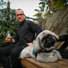 Dog owners howling about City of Yarra’s view on pups in pubs