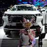 The Haval H6 compact SUV.