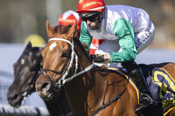 Emerging stayer Wicklow faces his biggest test at Rosehill on Saturday.