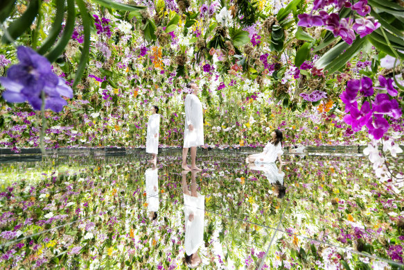 teamLab, Floating Flower Garden – Interactive Kinetic Installation by Hideaki Takahashi.