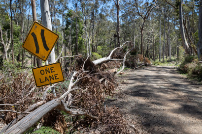 The 2021 storms created widespread damage in the Wombat State Forest.