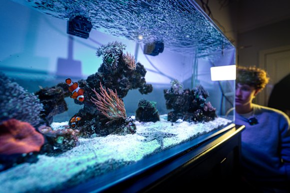 Charlie Brookman with his at-home aquarium. 