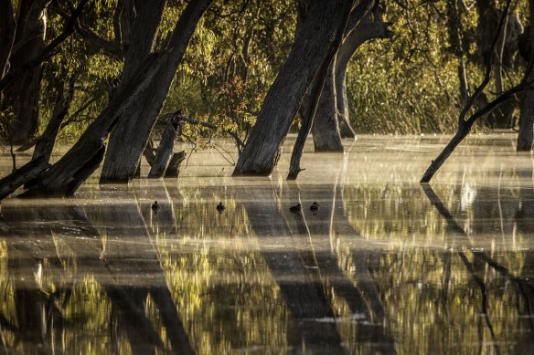 There are many approaches to conservation, but environmentalists say it depends on the area’s history and landscape as to which is the most appropriate. 