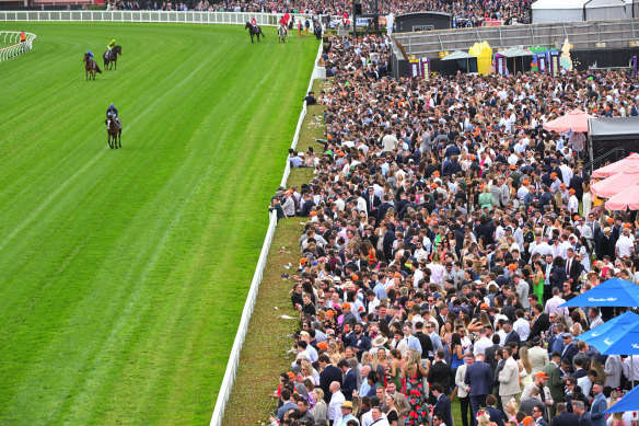 Crowds on the lawn before Race 6 on Saturday.