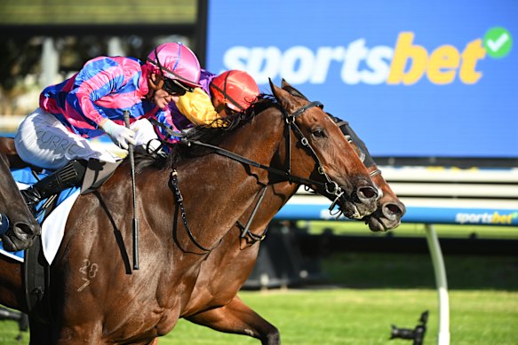 Racing returns to Coffs Harbour on Friday.