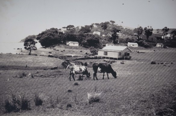 An old photo of Era back when it was farmland.