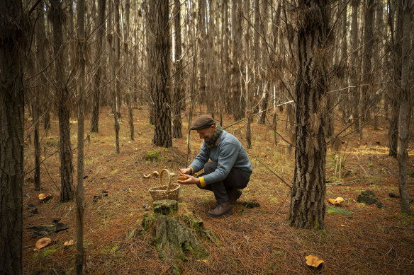 Diego Bonetto says his most popular course is the mushroom foraging workshop.