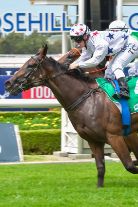 Brilliant youngster: Sunlight has put her sire Zoustar out in front.