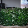 Photos taken during a police raid on a Taylors Lake “grow house” in 2023. Melbourne University economists estimate Australia’s cannabis market to be worth upwards of $5 billion annually.