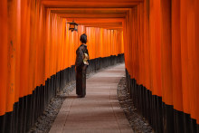 If you go before breakfast, it’s likely you’ll only spot a Kyoto resident at the renowned Fushimi Inari Taisha shrine.