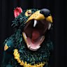 Rum’un, the Tasmania Devils’ club mascot is at risk of extinction because of dramas in the state’s parliament.