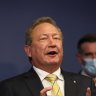 The green wars: Nickel stoush between BHP and Andrew Forrest heats up