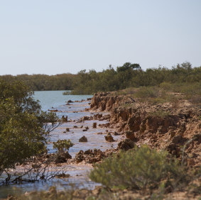 A fossil coral reef in Exmouth Gulf.