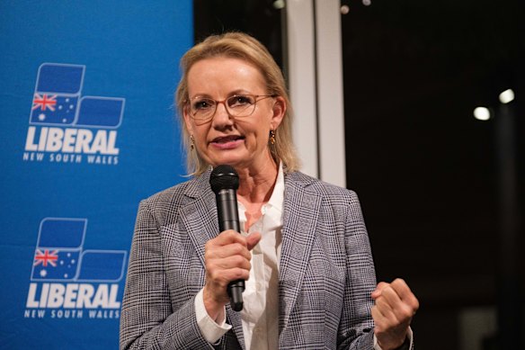 Sussan Ley would be the party’s first female leader.