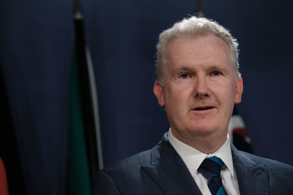 Workplace Relations Minister Tony Burke.