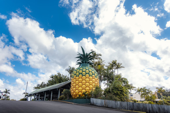 The famous Big Pineapple.