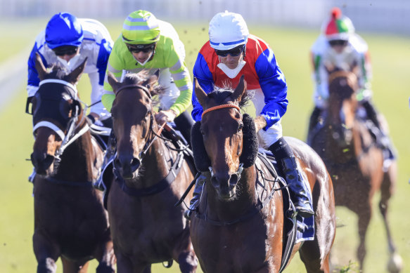 The Bondi Stakes is one element of the Sydney spring that could do with a rethink.