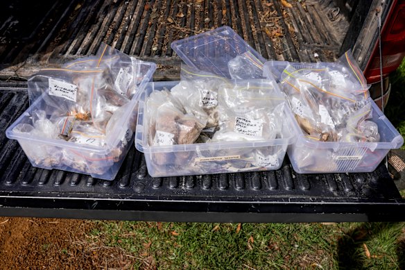 A small sample of the artefacts found on the Kentbruck wind farm site.