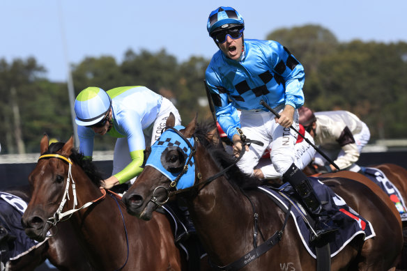 Tommy Berry roars with jubilation as Mo’unga wins the Rosehill Guineas last year.
