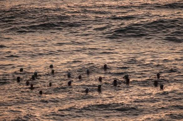 These swimmers at Bondi Beach were cool, calm and collected as they started yesterday soaking in the early morning rays of the sun on Thursday.