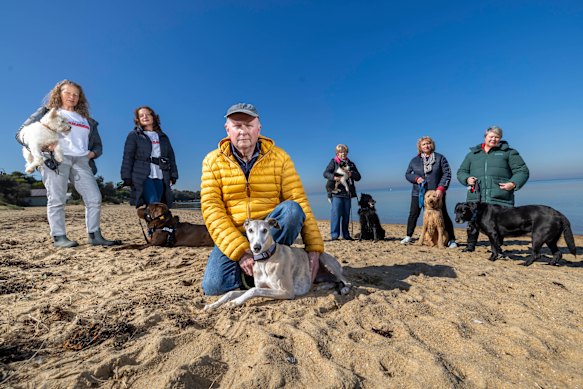 Mark Clair (centre) and other dog owners at Ricketts Point Marine Sanctuary.