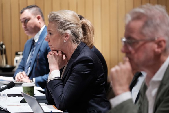 Senator Bridget McKenzie hears responses from travel industry bosses on day one of the inquiry.