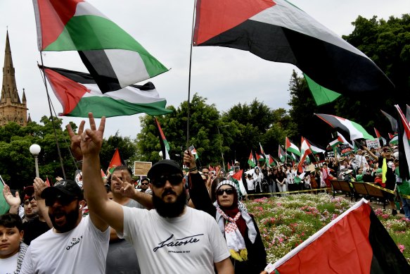 Pro-Palestinian protesters at Hyde Park in Sydney.