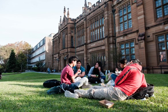 An economist has warned Australia could enter a recession if there’s a large drop in international students. 