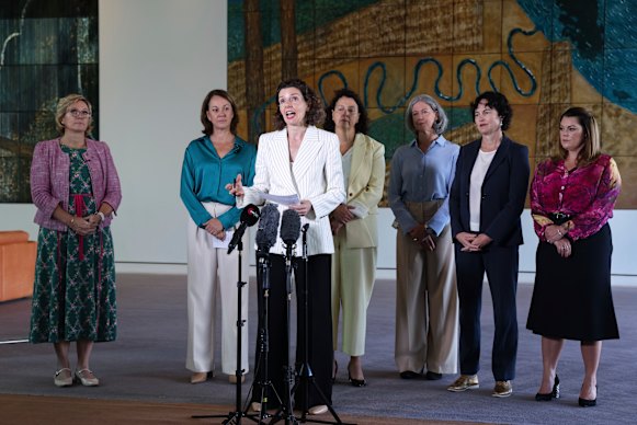 From left: Warringah MP Zali Steggall, Mackellar MP Dr Sophie Scamps, Wentworth MP Allegra Spender, Kooyong MP Dr Monique Ryan, Bradfield MP Nicolette Boele, Curtin MP Kate Chaney and Senator Sarah Hanson-Young during a press conference at Parliament House in Canberra on February 10.