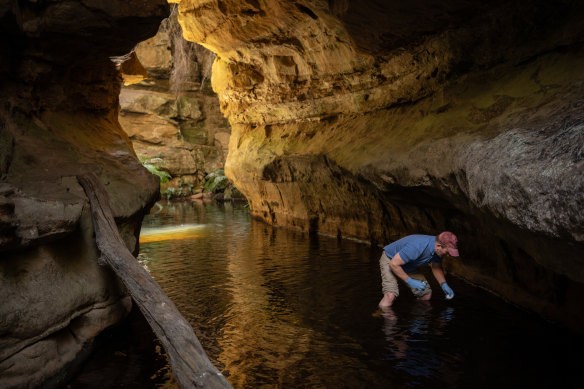 Water scientist Ian Wright takes a water sample near Lake Medlow in the Blue Mountains.