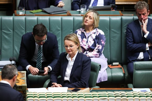 The mostly subdued opposition benches  erupted after an attack by Catherine King.