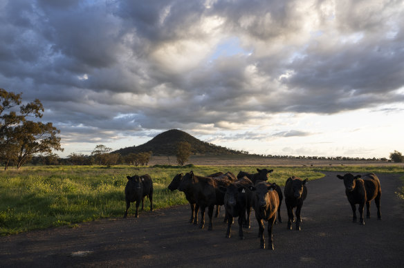 The number of broadacre farms in Australia has more than halved in the past 40 years.