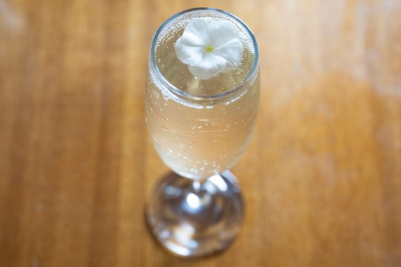 Bellini.